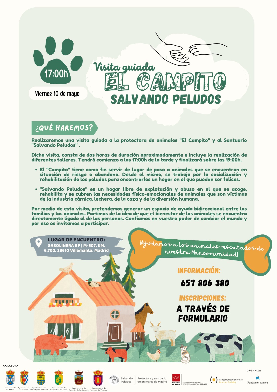 EL CAMPTO SALVANDO PELUDITOS